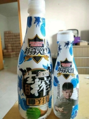 椰子汁500ml（1*15）