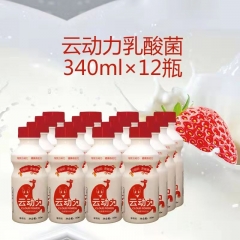 340ml云动力（胃动力）乳酸菌风味饮品草莓味 1*12瓶/件